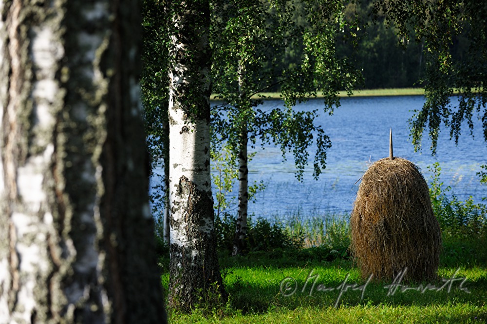 aufgeschlichtetes Heu (Heumandeln) und See