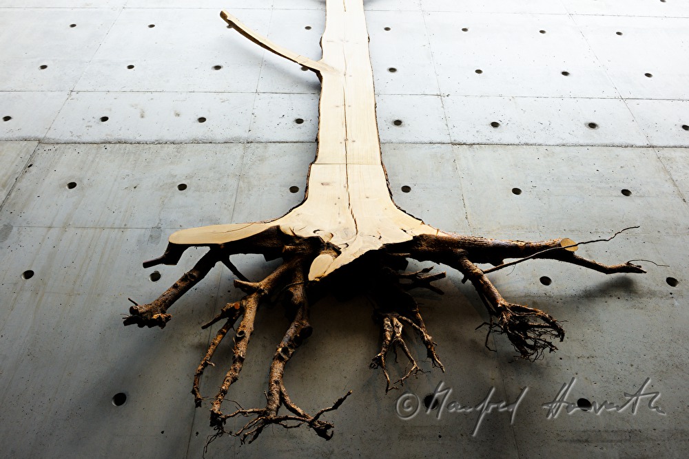 Kunst aus Holz im Finnischen Forstmuseum Lusto