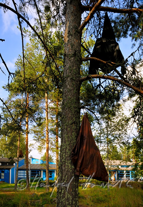 Kunstinstallation (Lederjacken hängen im Baum)