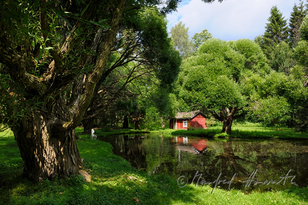 rotes Blockhaus am See und kugelig geschnittene Weiden