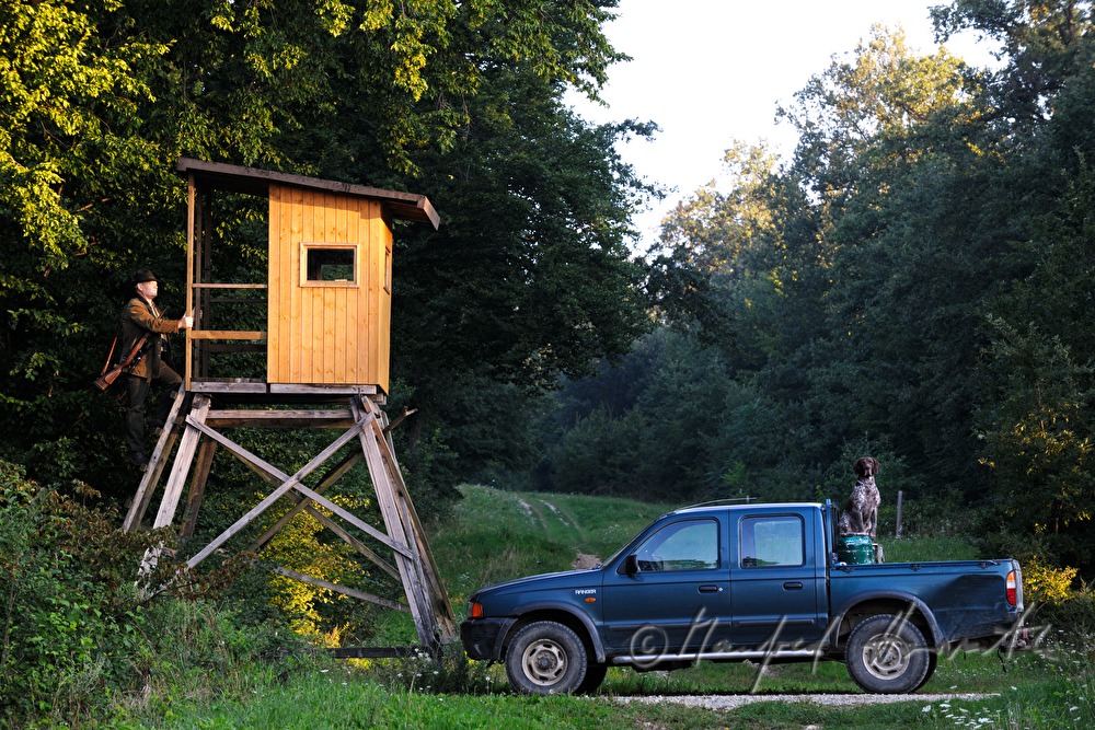 Jäger mit Hund bei einem Hochstand