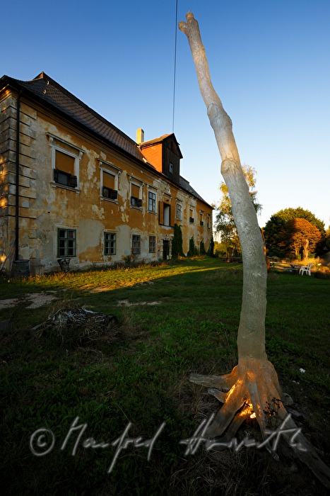 Baum-Skulptur (Epoxyharz) vor dem Atelier