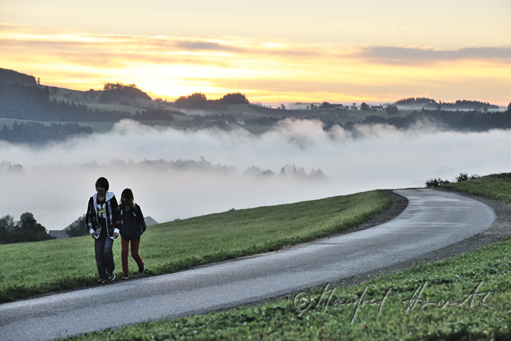 Schüler am Morgen auf dem Weg zum Schulbus