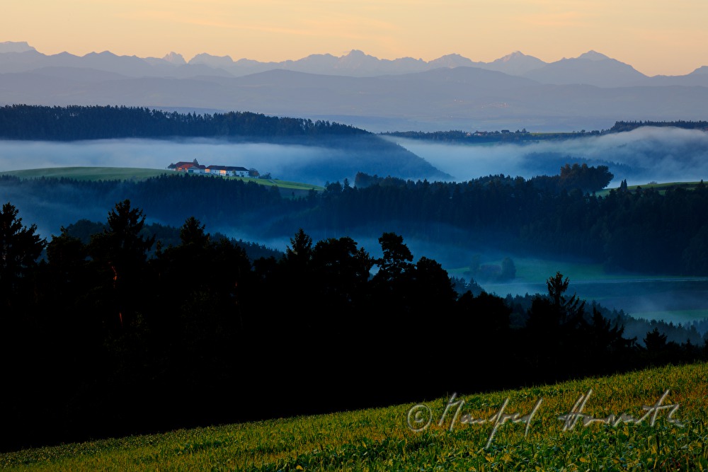 Blick von Pregrabendorf Richtung Süden