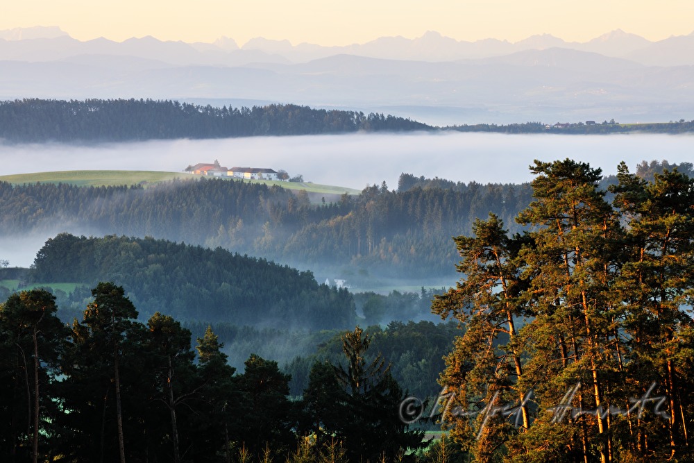 Blick von Pregrabendorf Richtung Süden
