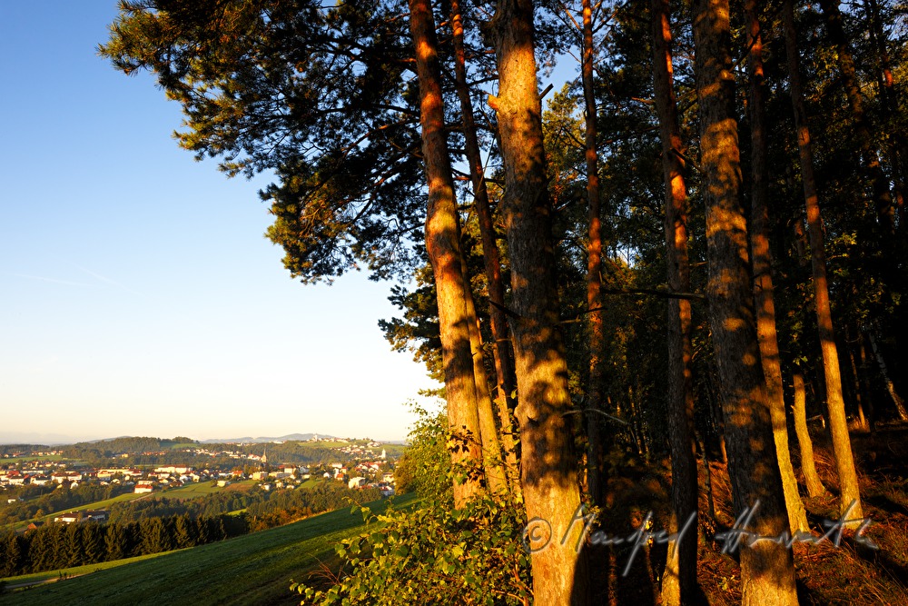 Blick von Pregrabendorf Richtung Süden