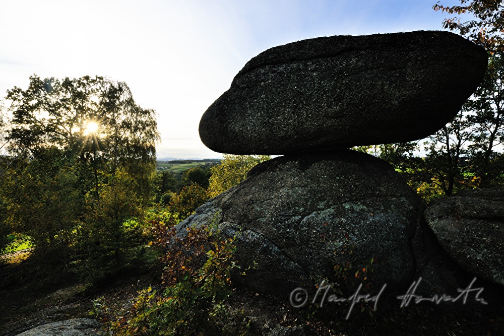 Schwammerling Stein im Naturpark Mühlviertel