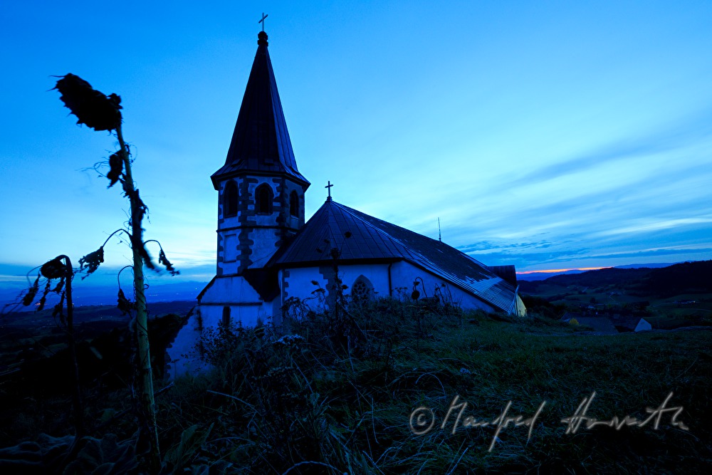 Kath. Pfarrkirche Hl. Apostel Thomas und Sonnenblumen