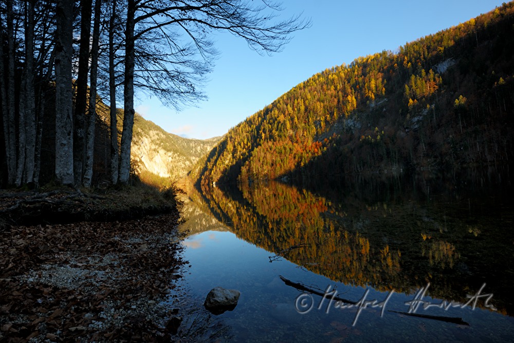 Blick zum Süd-Ufer des Sees durch den Mischwald