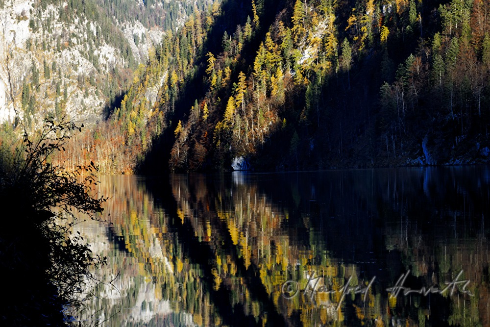 Blick zum Süd-Ufer des Sees durch den Mischwald