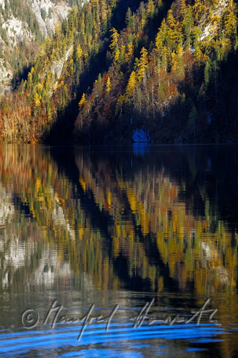 Blick zum Süd-Ufer des Sees durch den Mischwald
