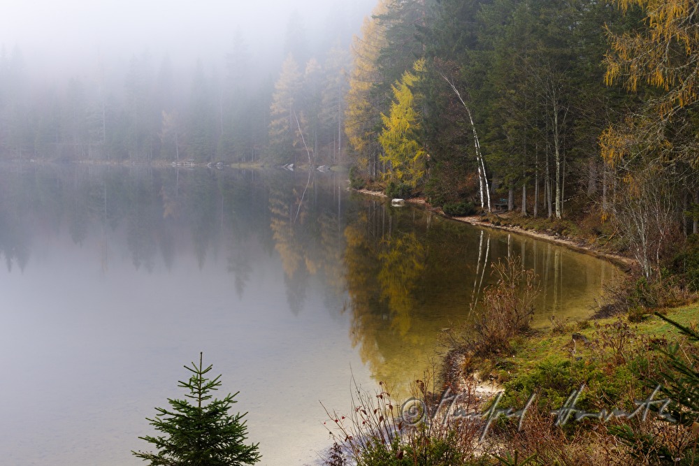 Ufer des Ödensee