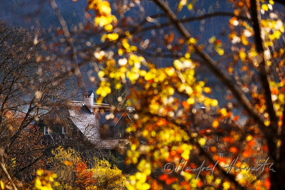 Holzhaus im Herbstwald