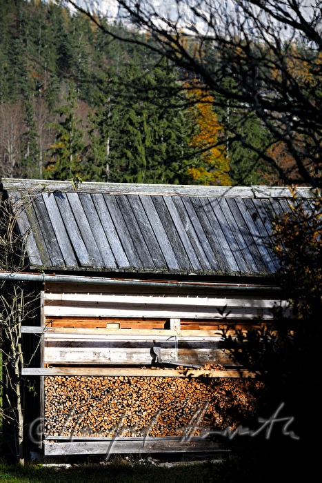 Holzscheune mit geschlichtetem Brennholz
