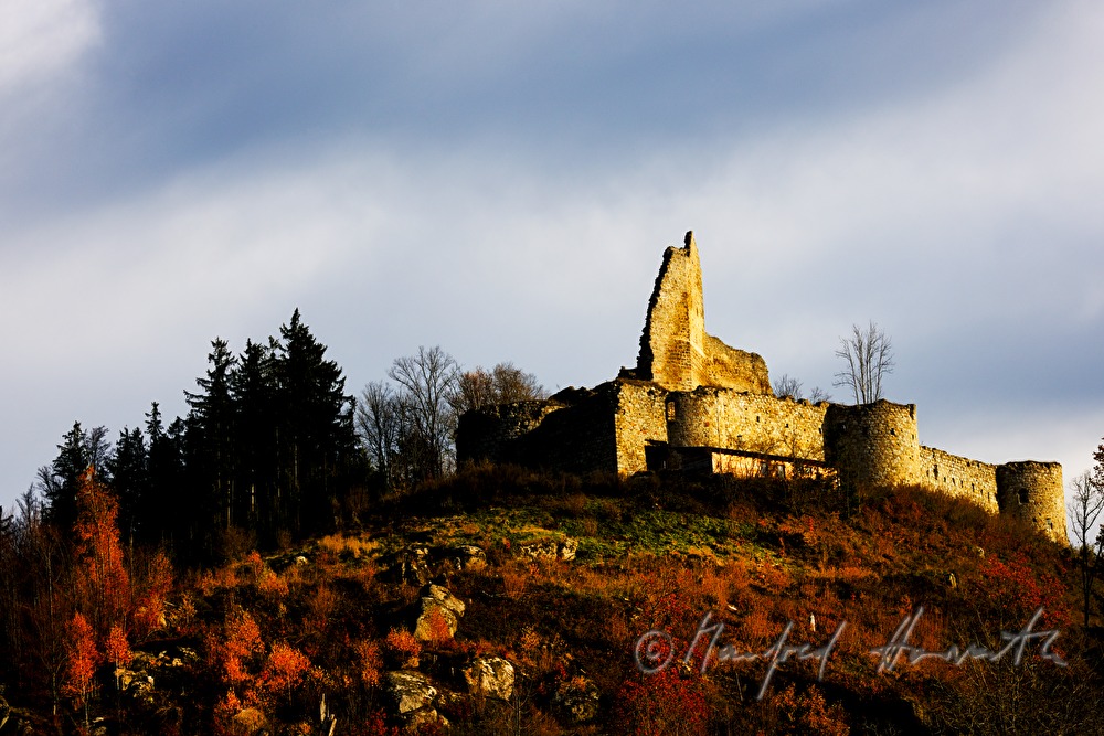 Burgruine Ruttenstein über dem Tal der Großen Naarn