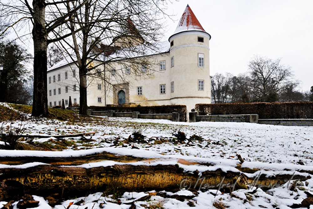 Baumwurzel und Schloss Schwertberg