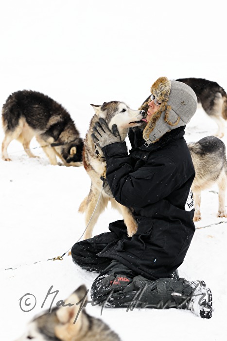 Musher (Schlittenhundeführer) mit Husky