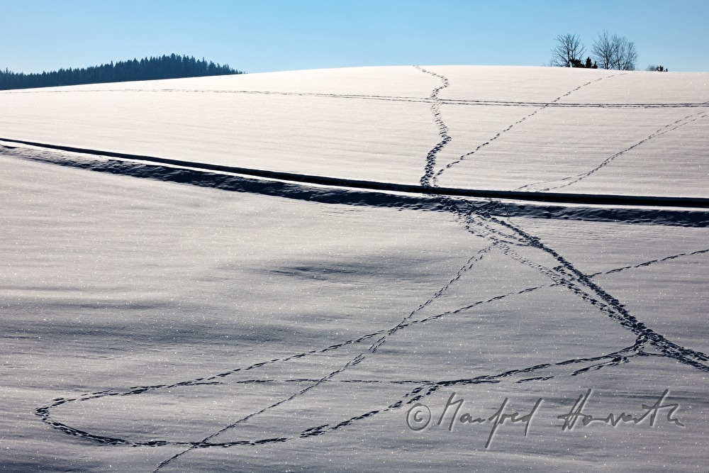 Spuren im Schnee in einem Feld