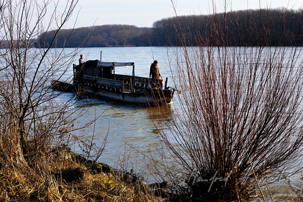 Tschaike (historische Donau-Zille) auf der Donau
