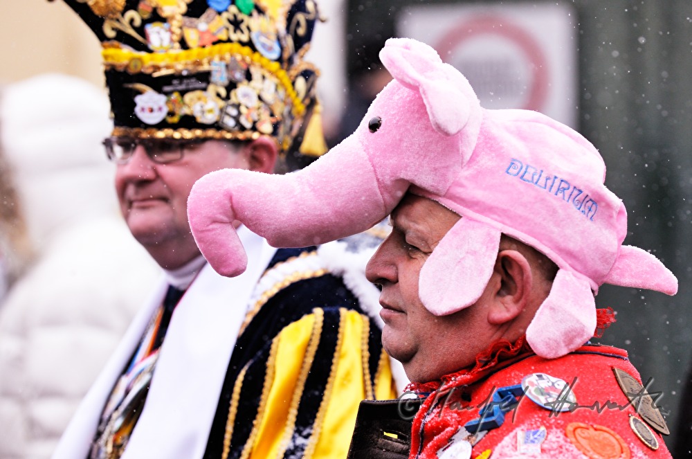 Mann als Elefant verkleidet beim Faschingsdienstag-Umzug