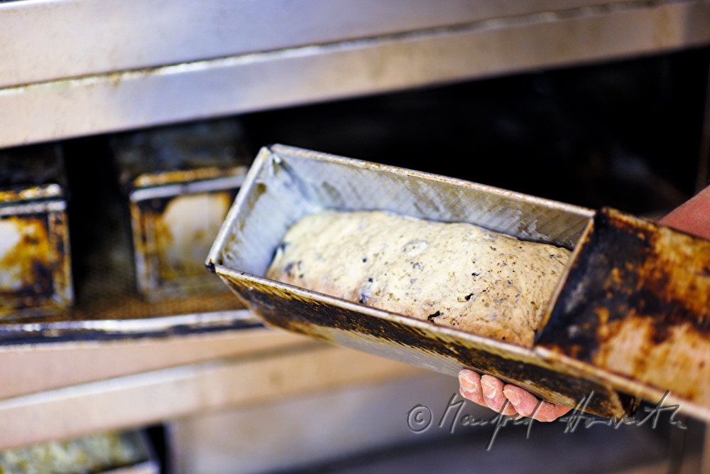 Kastenbrot (Vollkorn) vor dem Backen