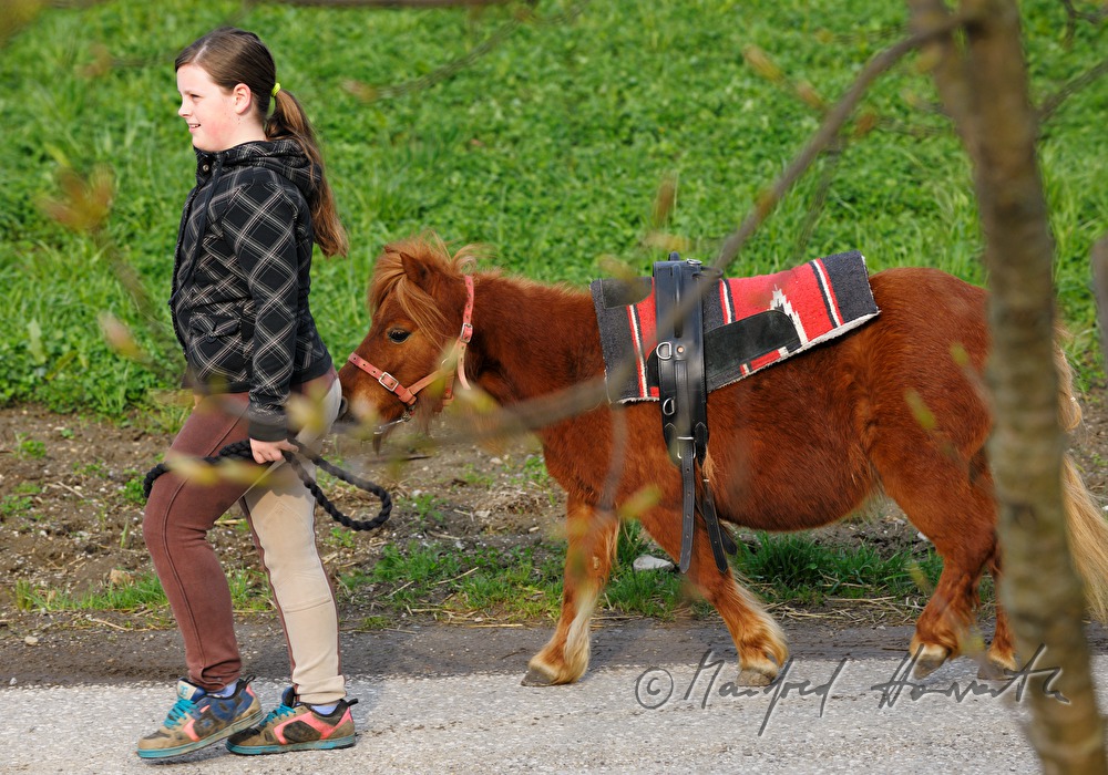 Reiterin mit Pony bei der Pferdewallfahrt (Georgiritt)