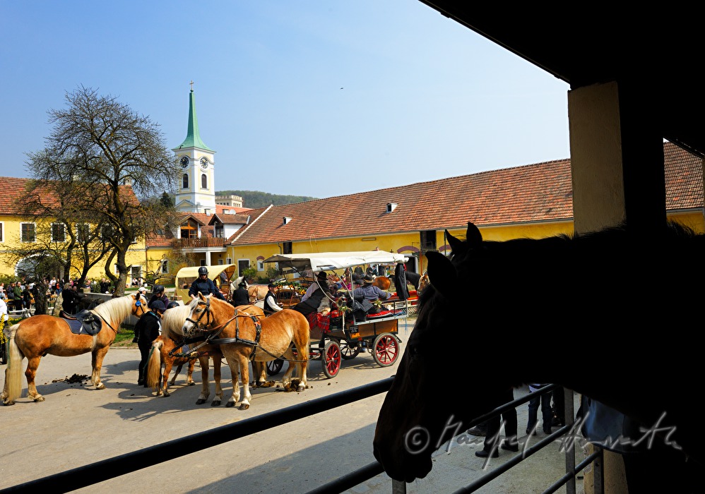 Pferdekutsche bei der Pferdewallfahrt (Georgiritt)