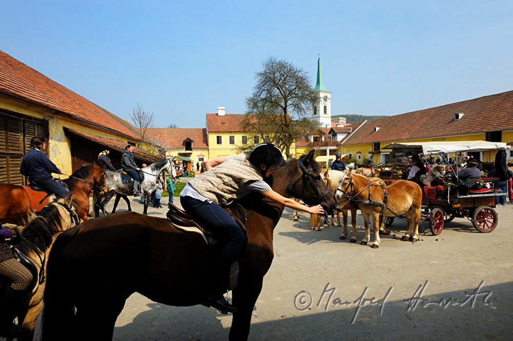 Pferdekutsche bei der Pferdewallfahrt (Georgiritt)
