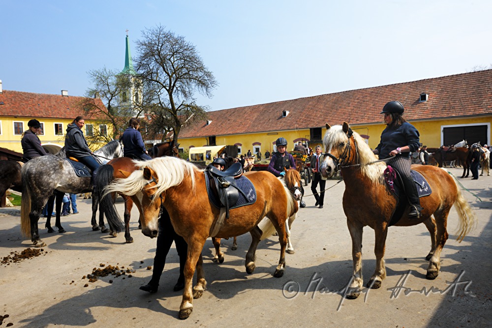 Start zur Pferdewallfahrt (Georgiritt) am Reitstall Deckardt
