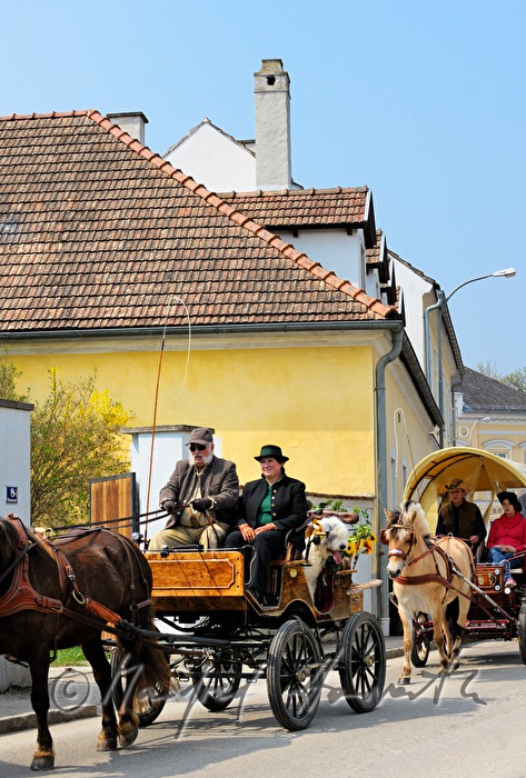Pferdekutsche bei der Pferdewallfahrt (Georgiritt)