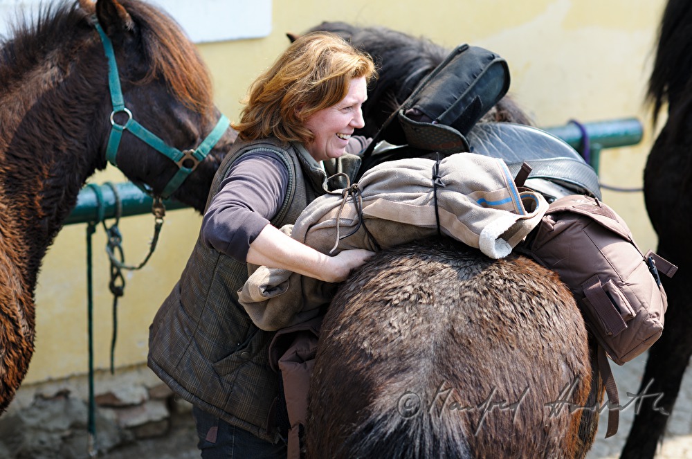 Reiterin sattelt das Pferd für die Pferdewallfahrt (Georgiritt)