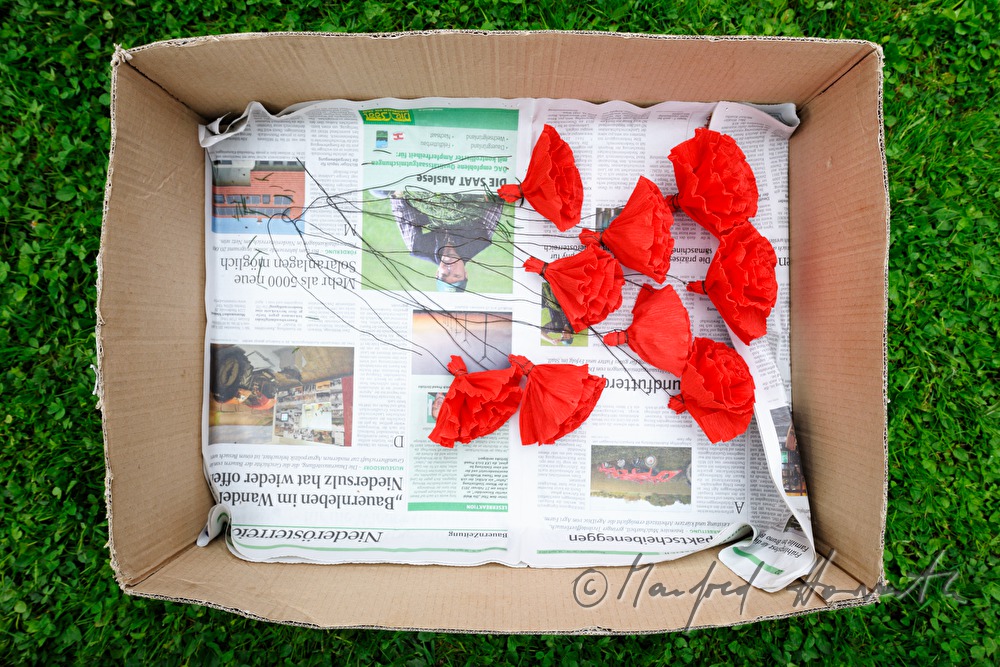 Schachtel mit Papierrosen zum Schmücken des Maibaumes