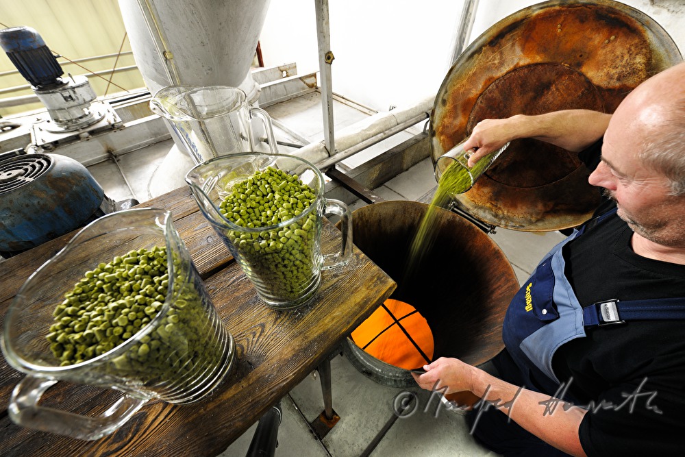 Brauneister bei der Zugabe von Hopfen im Sudhaus