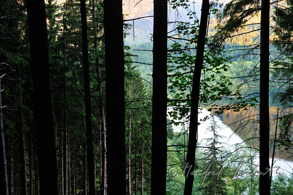 Lunzer See vom Maiszinken