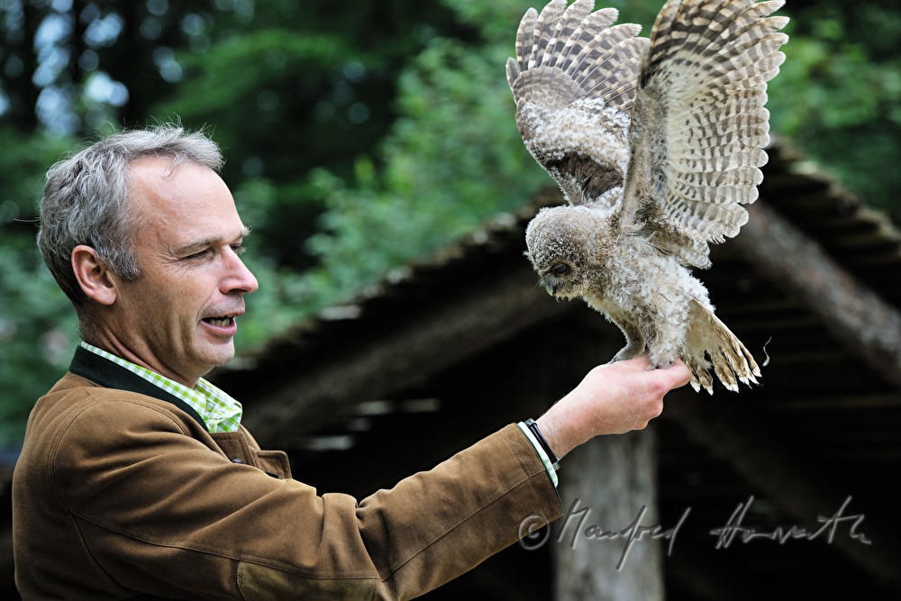junge Schleiereule und Tierpark-Direktor im Naturpark Buchenberg