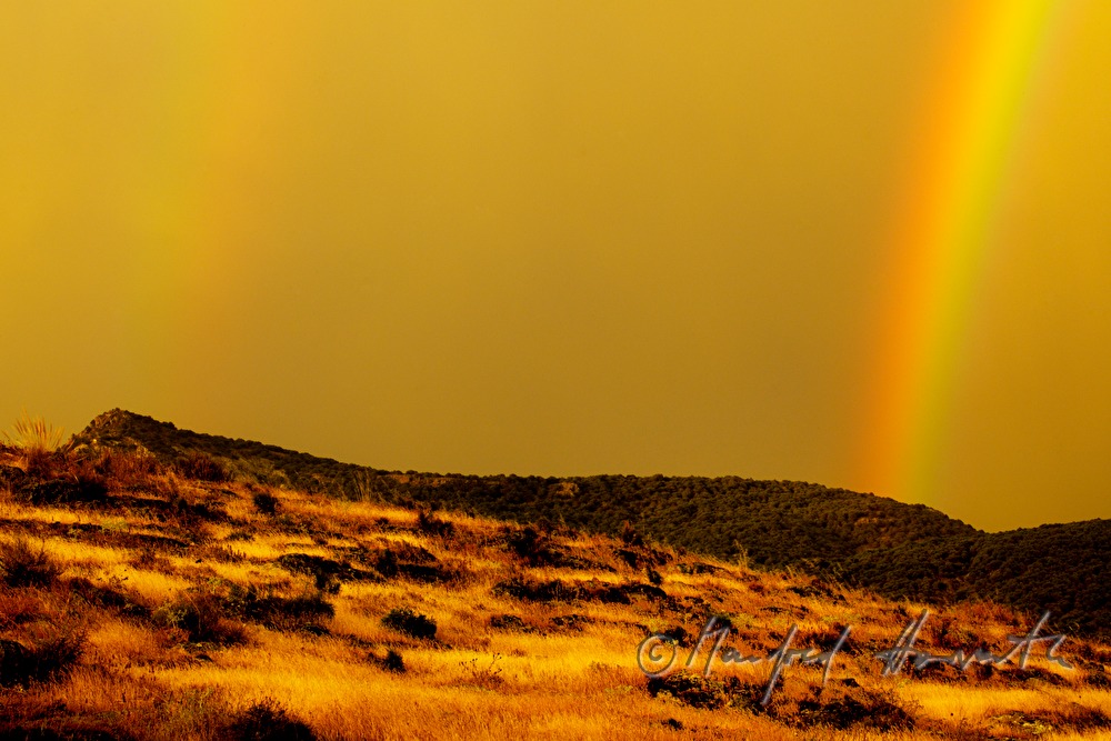 Doppelregenbogen nach einem Gewitter