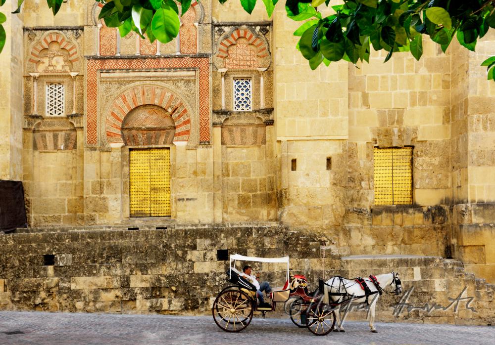 Pferde-Taxi vor der Mezquita