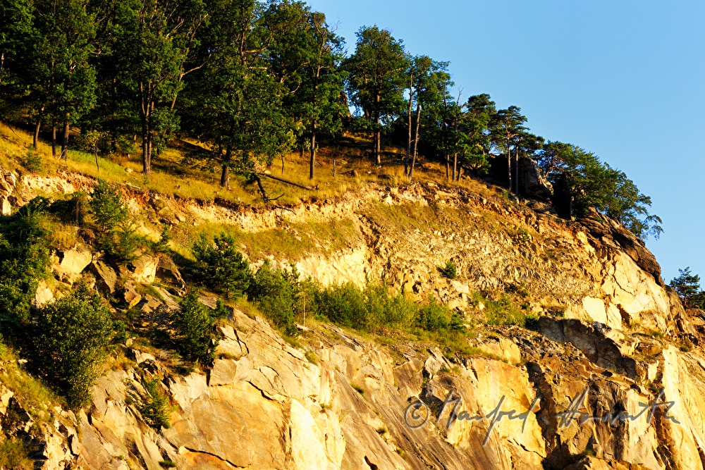 Granitfelsen im Wald