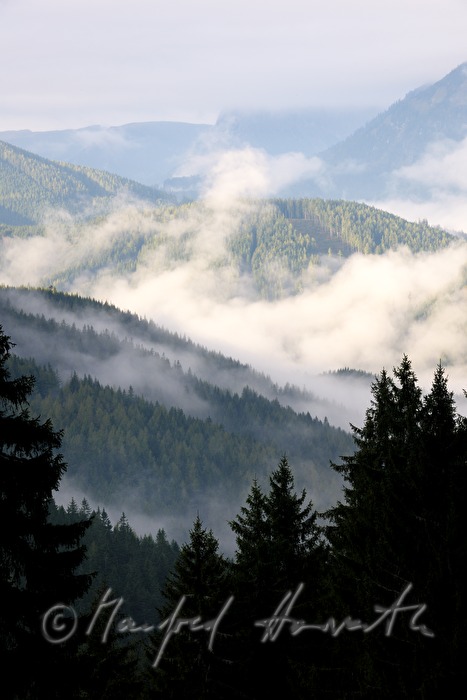 Blick aus dem Nadelwald ins Mariazellerland