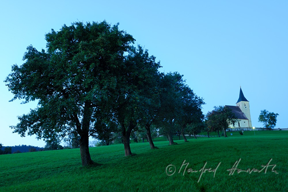 Kirche und Allee mit Birnenbäumen (Streuobstwiese)