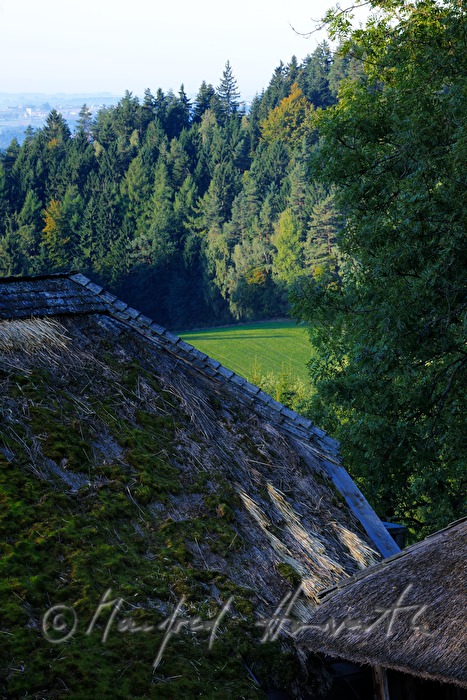 Bauernhaus mit Strohdach