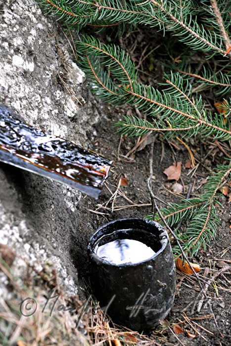Pechölbrennen hat eine jahrhundertealte Tradition