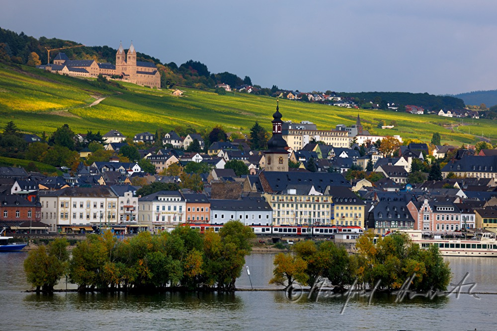 Abtei St. Hildegard, Weinberge und Hafen