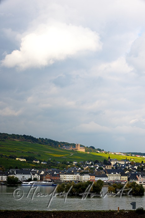 Abtei St. Hildegard, Weinberge und Hafen