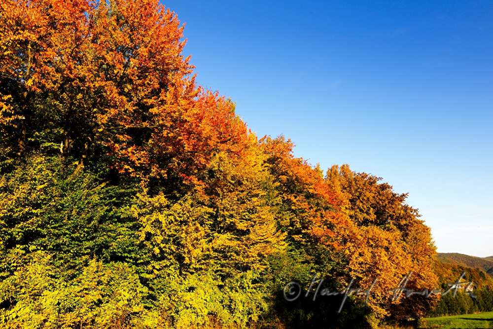 Landschaft bei Alland und Klausen-Leopoldsdor