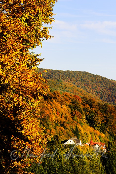 Landschaft bei Alland und Klausen-Leopoldsdor