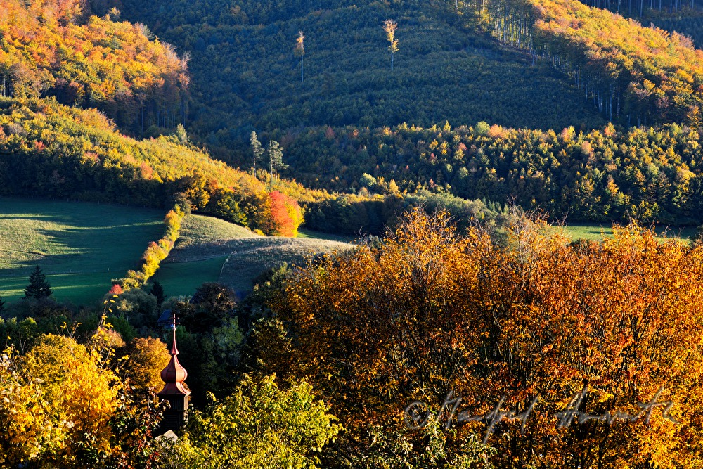 Landschaft bei Alland und Klausen-Leopoldsdor