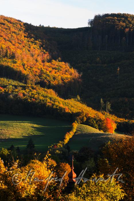 Landschaft bei Alland und Klausen-Leopoldsdor