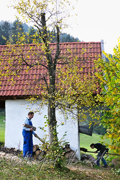 Herstellung von Kletzen aus Birnen in der Dörrhütte