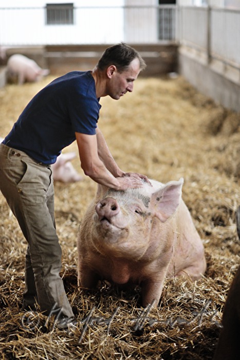 der Bauer und Firmengründer Franz Habel in seinem Schweinestall